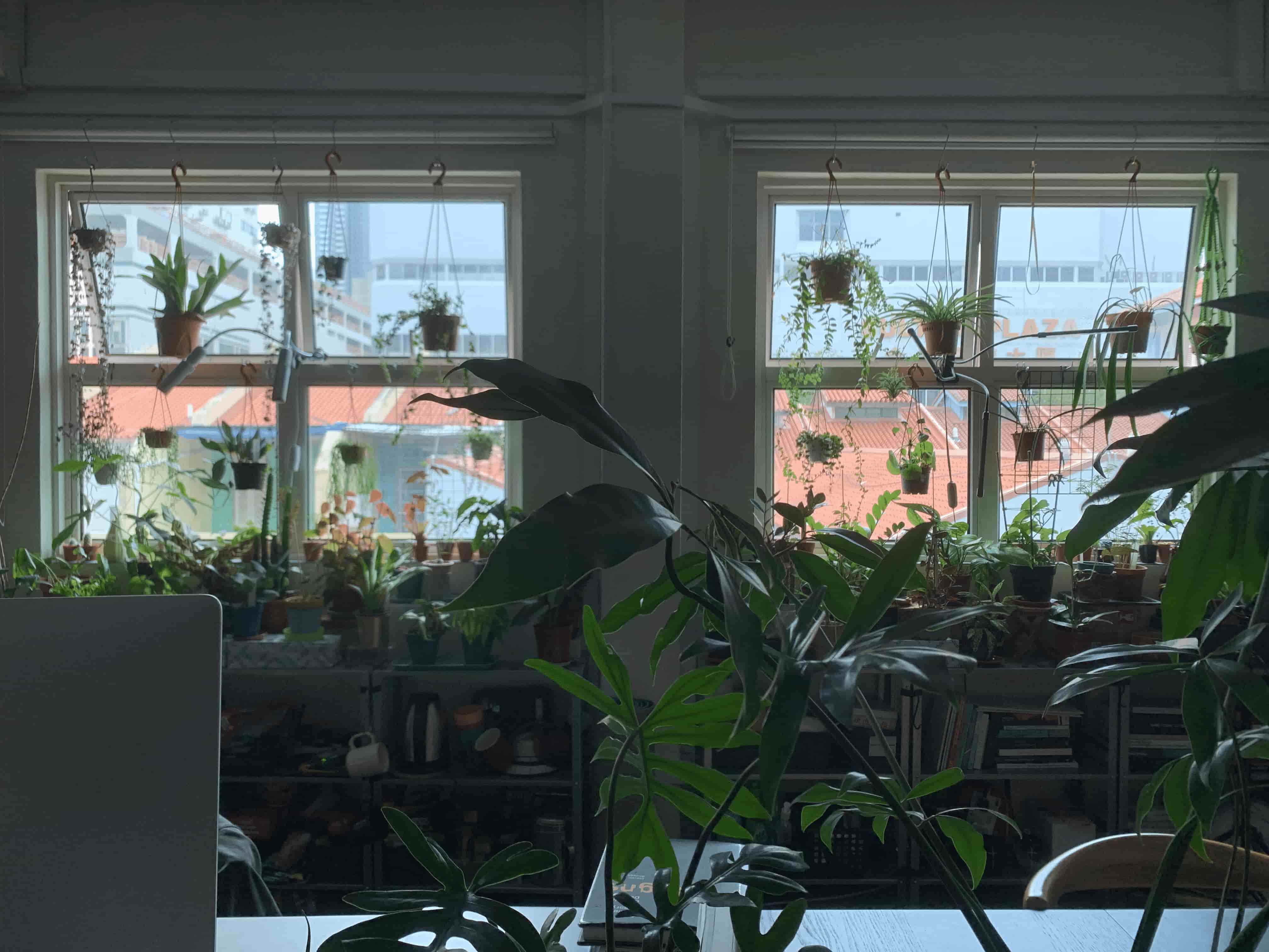 Hothouse Project Space, 2020