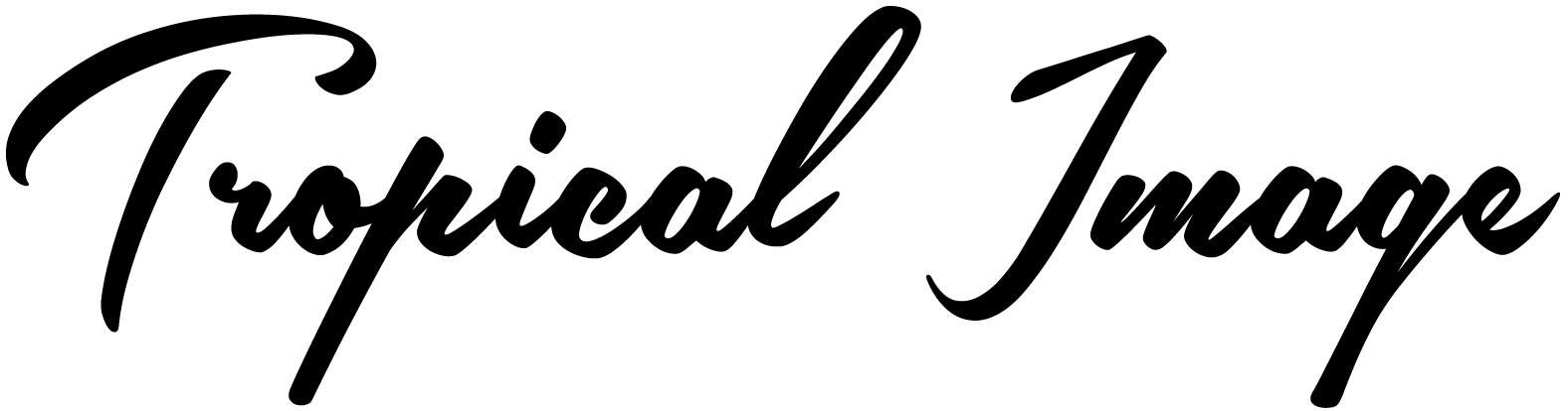 1514411103 header logo black