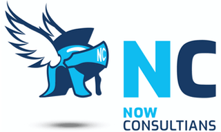 Now Consultians