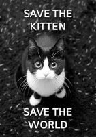 save the kitten save the world icon
