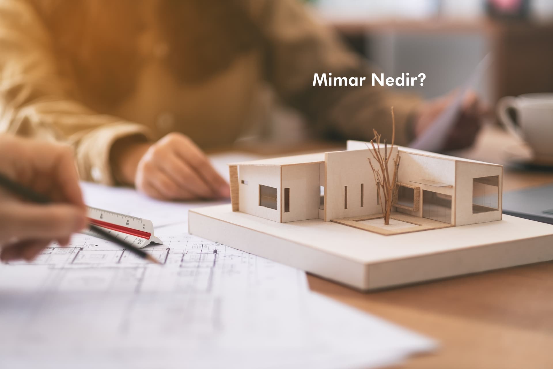 Mimar Nedir? (Mimarların Ne Yaptığını Öğrenin)