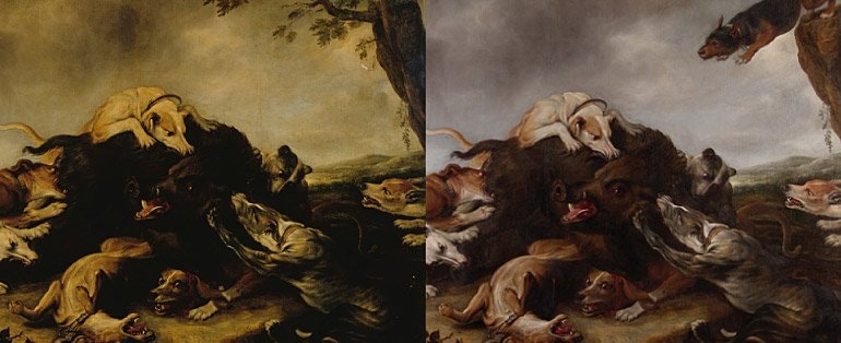 'The boar hunt' before and after treatment