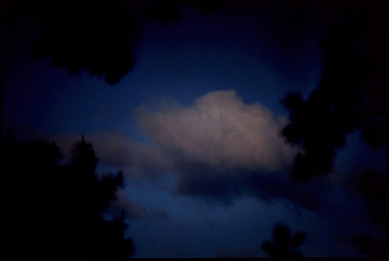 Bill Henson, Untitled 2005/06 2005—2006    