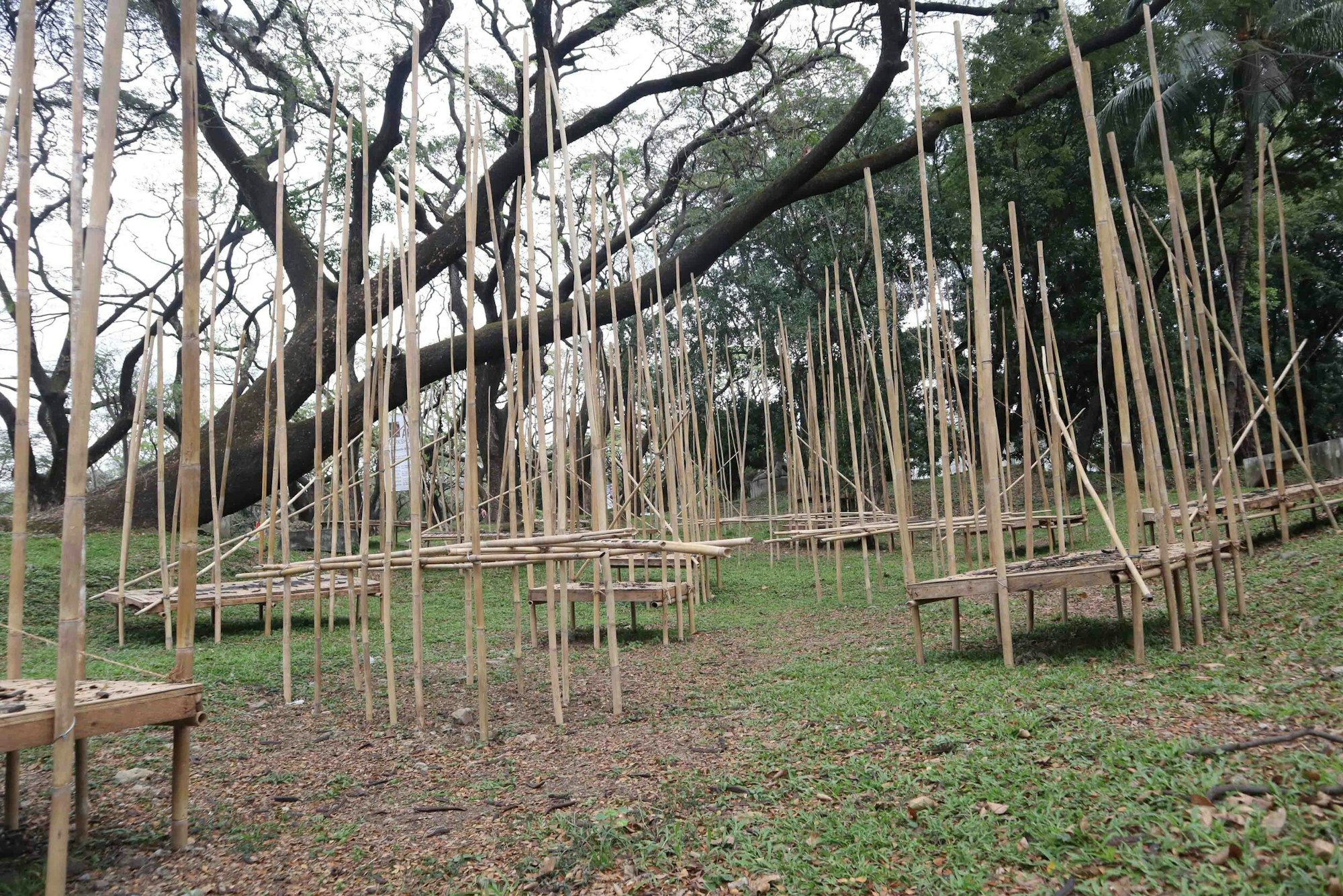 Junyee, Kwarantin (detail). Bamboo, paint, 2020