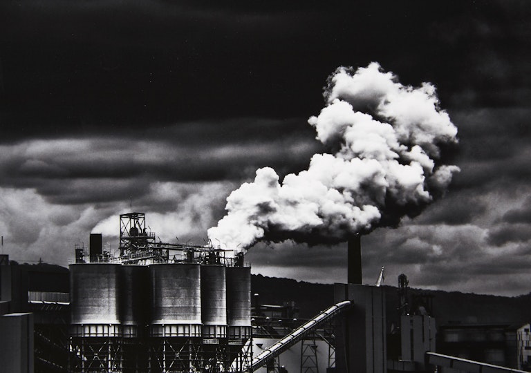 Work by Mia Eve Carey