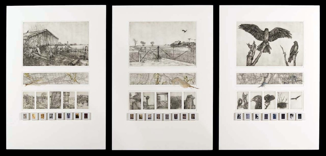 Work by Caitlin Lemon