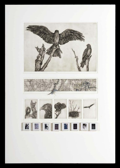 Work by Caitlin Lemon