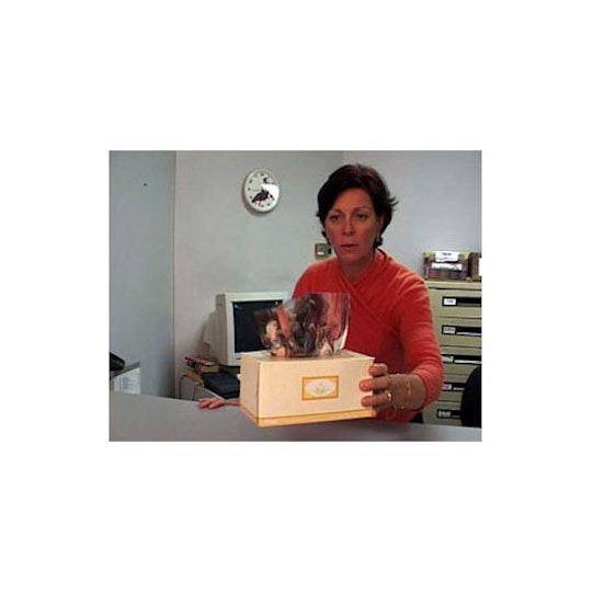 Work by Benjamin Lusthaus