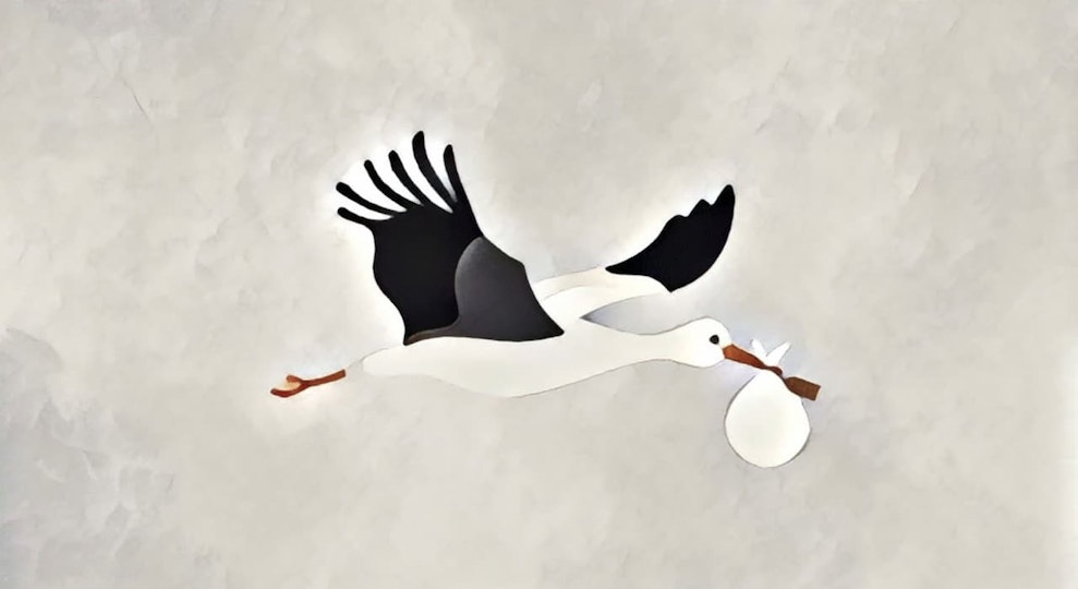 Work by Michaela Pisani