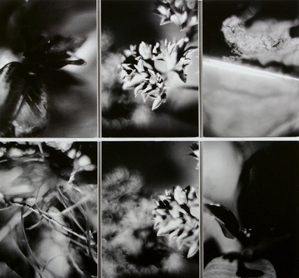 Work by James Harding