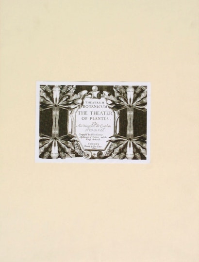 Work by Alissa Kennedy