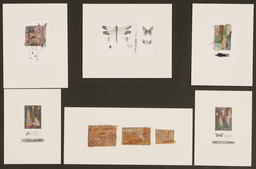 Work by Arlie Crowhurst