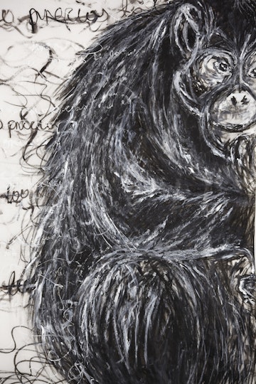 Work by Demi Batchelor