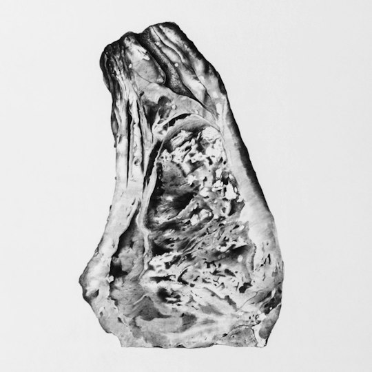 Max Suciu Gleeson | Art Gallery of NSW