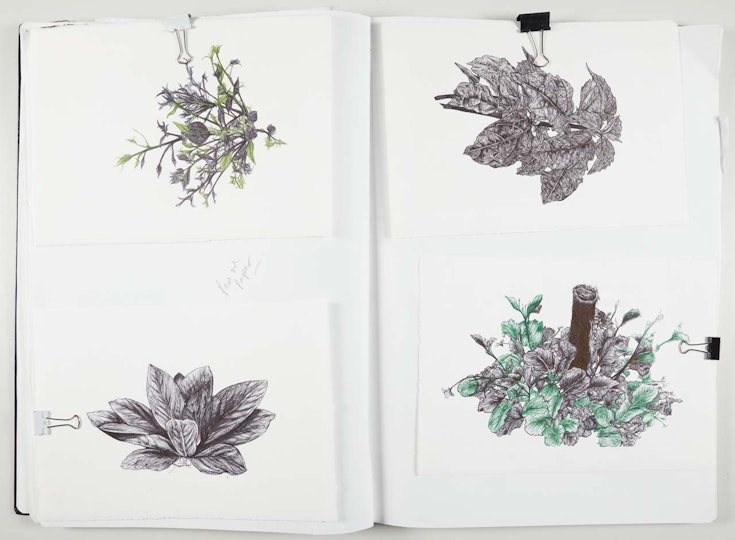 Work by Jade Nguyen