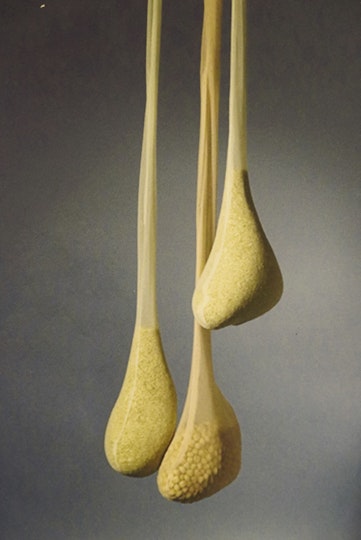 Work by Gabriella Munoz