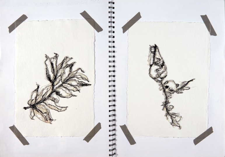 Work by Maya Williams