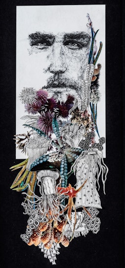 Work by Shannon Syme