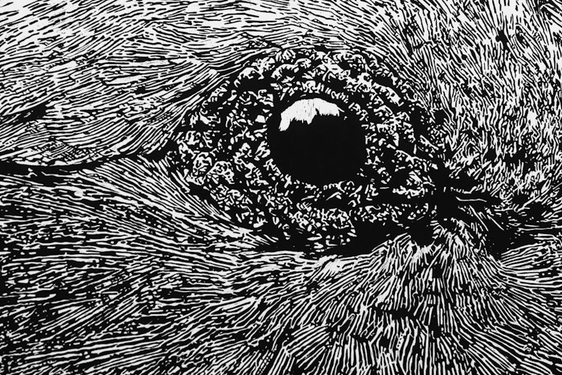 Work by Molly Revoltar