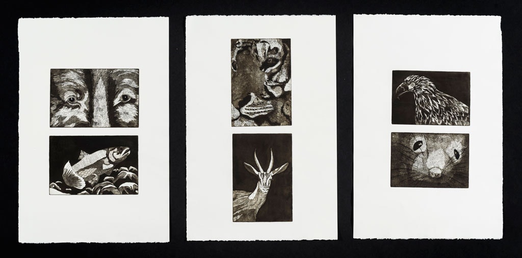 Work by Samantha Munro