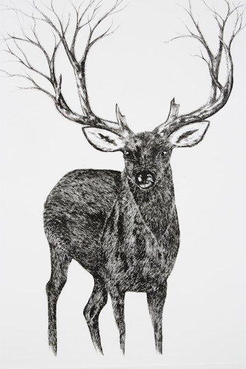 Work by Lucinda Bell