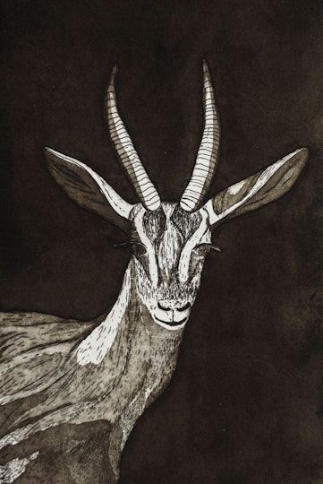 Work by Samantha Munro