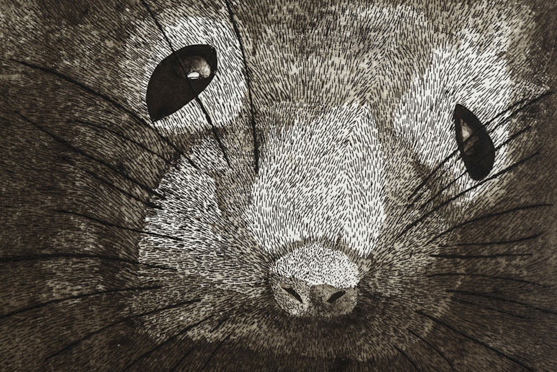 Work by Samantha Munro