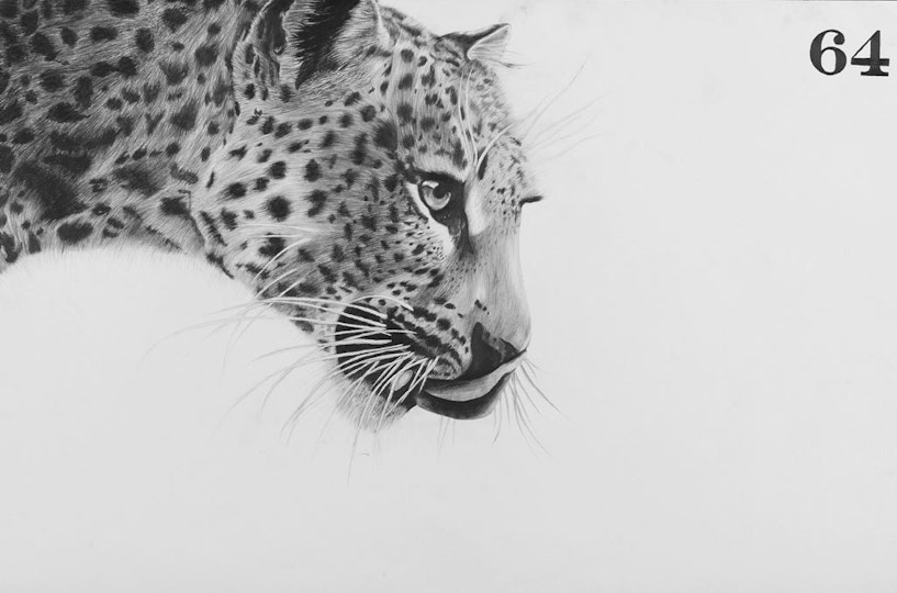 Work by Tiana Chezzi