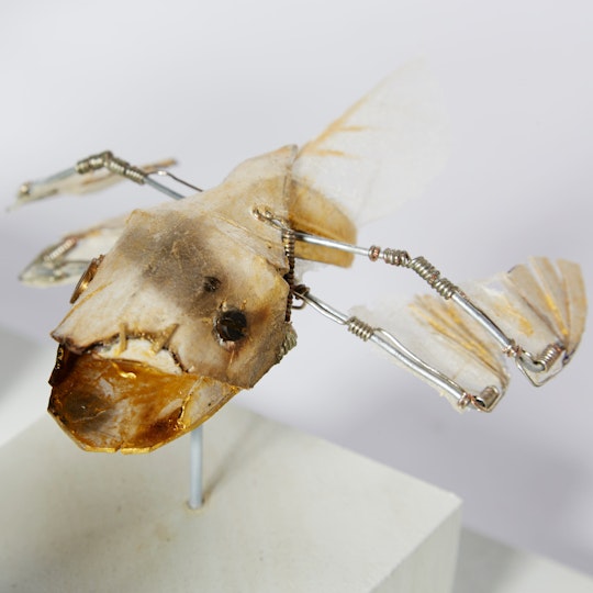 Work by Thomas Woodhead