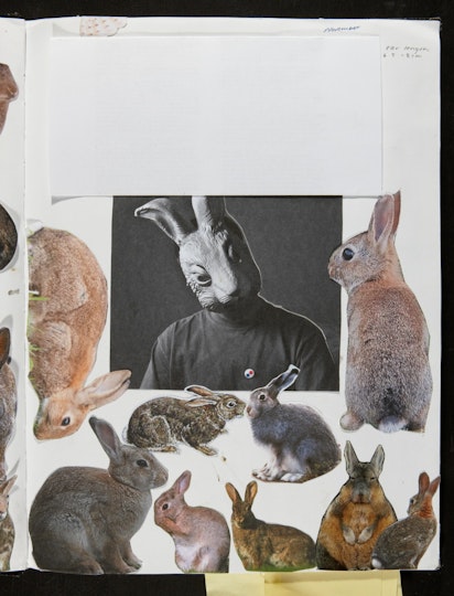 Work by Francesca Fox