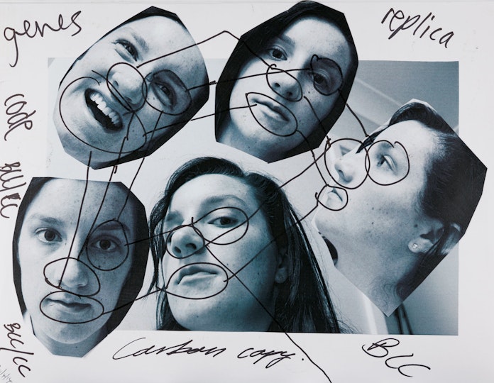 Work by Hayley Cumming