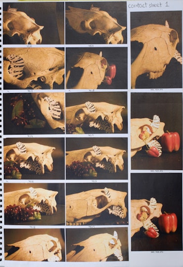 Work by Clarissa Luwia