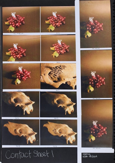 Work by Clarissa Luwia