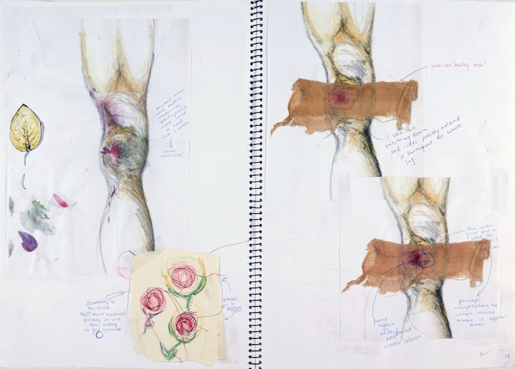 Work by Hannah Nobes