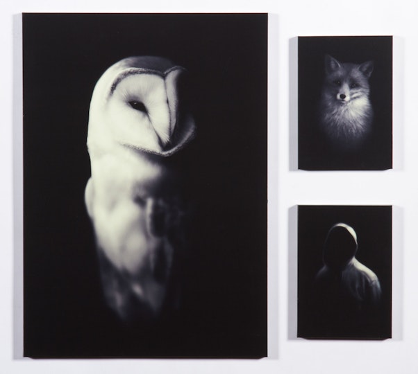 Work by Tessa Magliano
