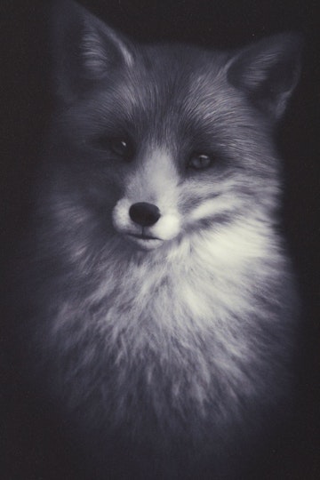 Work by Tessa Magliano