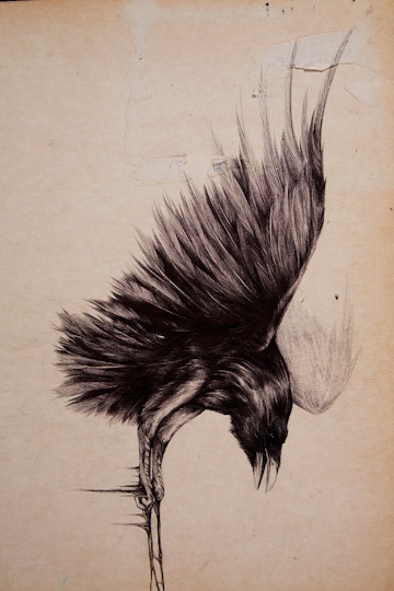 Work by Emily Sheard