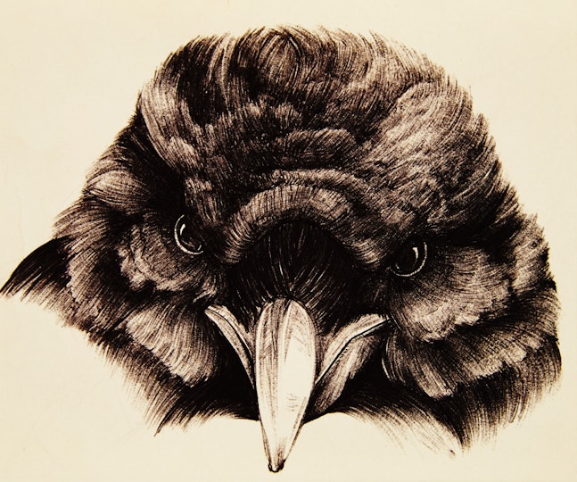 Work by Emily Sheard