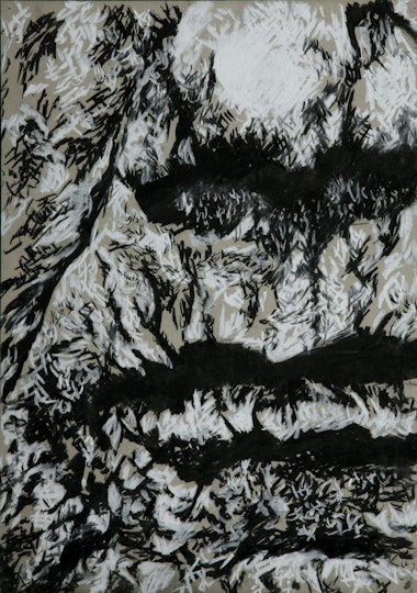 Work by Philipa Collins