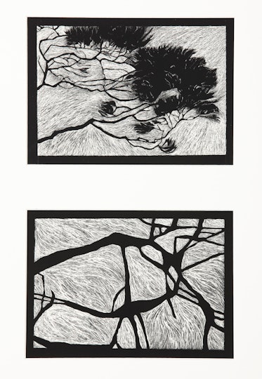 Work by Caitlin Mathie