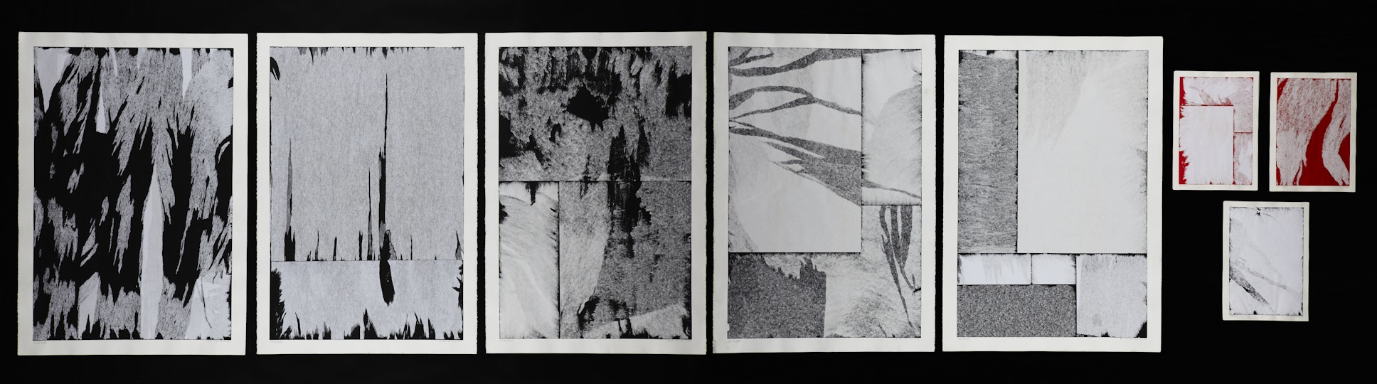 Work by Arash Taheri