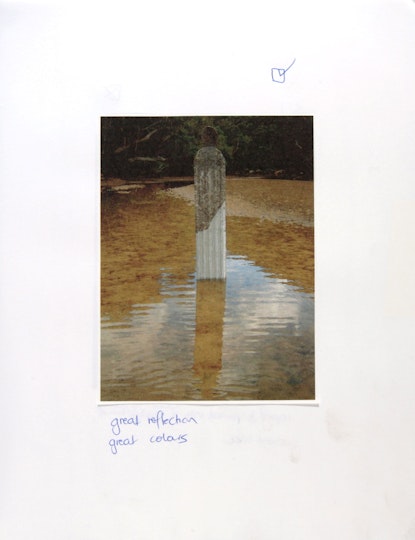 Work by Riley Field
