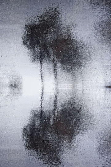 Work by Julian Di Iorio