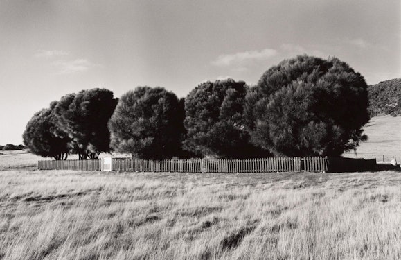 Ricky Maynard, The Healing Garden, Wybalenna, Flinders Island, Tasmania, from the series Portrait of a distant land, 2005, Art Gallery of New South Wales © Ricky Maynard. Licensed by Copyright Agency