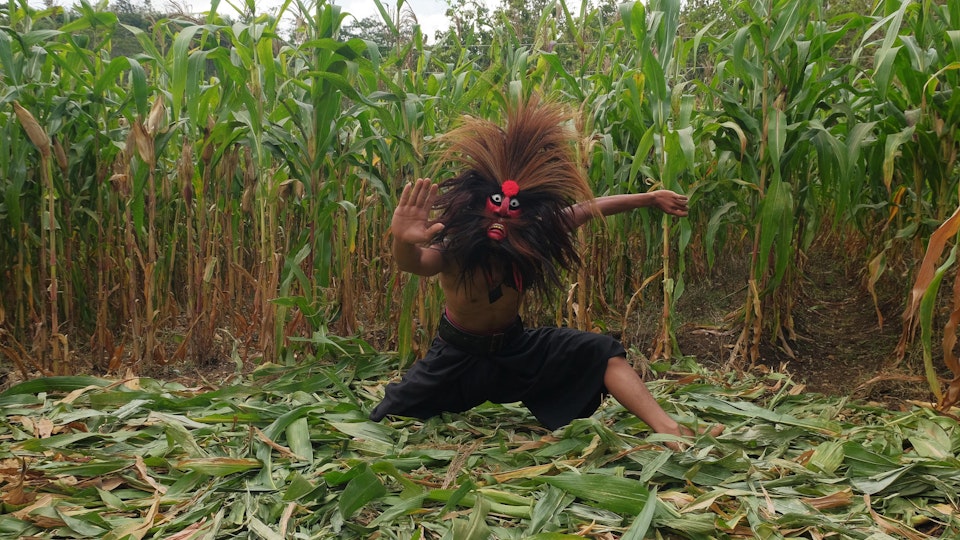 Video still of a person in a corn field with legs in a strong pose and one arm out in front of the person, the other arm flung out to the side.