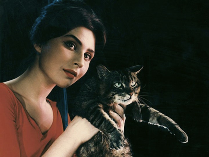 Still from When the cat comes, 1963