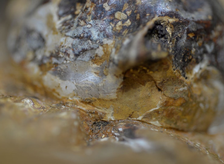 A lovely section of silver gilt was revealed, preserved at the base of one of the ornaments. The rest, however, had oxidised and darkened.