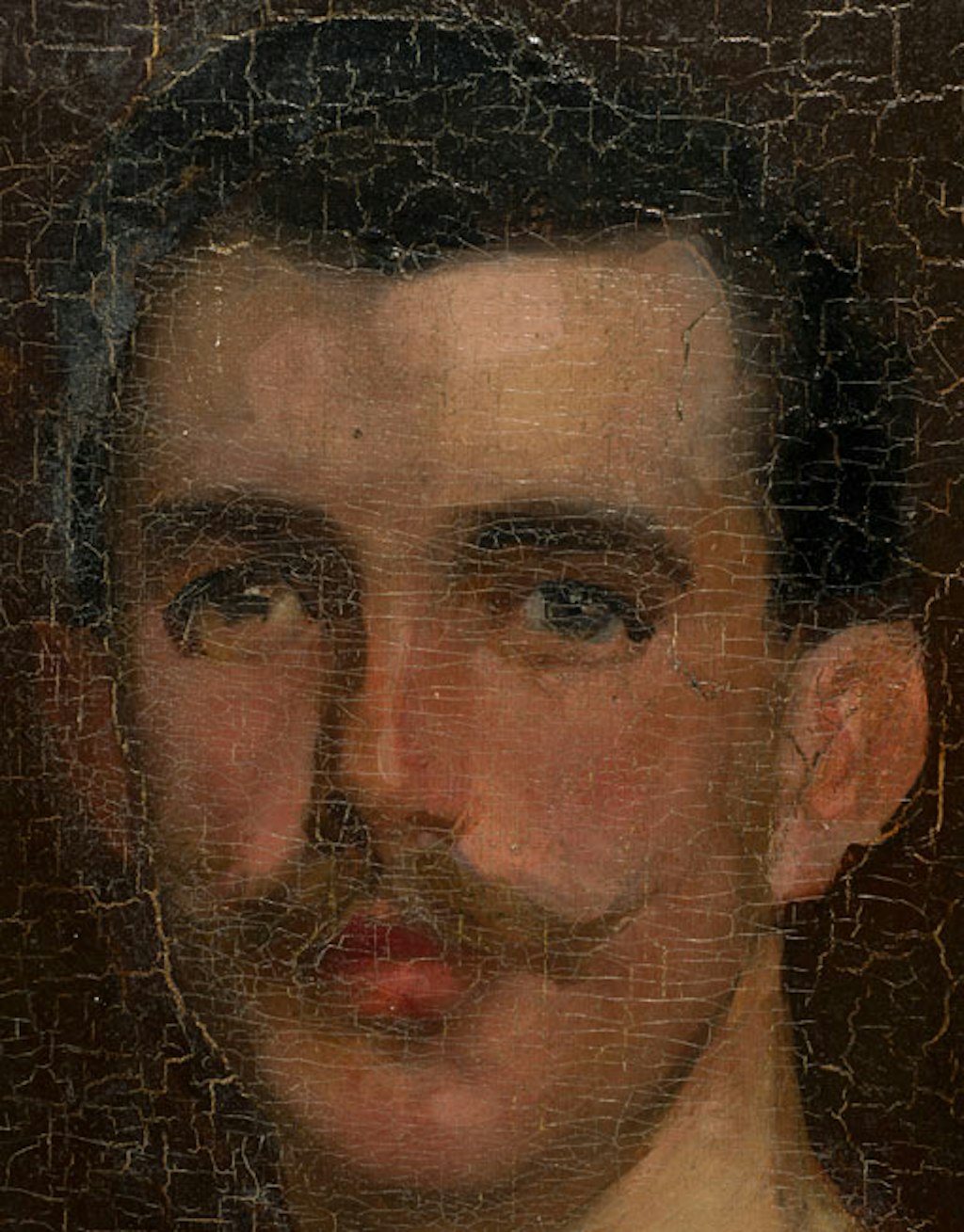 A multitude of fine cracks on a painting of person's head.