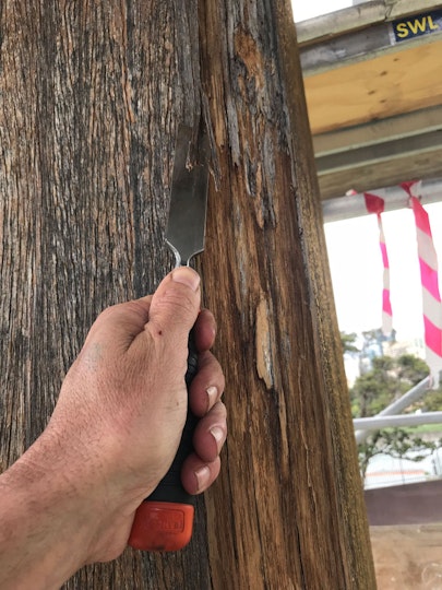 Small portions of decayed timber were removed by hand.