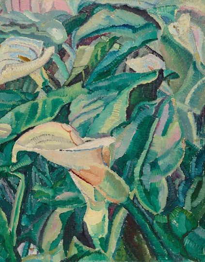 Grace Cossington Smith Arums growing c 1927. Art Gallery of New South Wales, acquired with the support of the Art Gallery Society of NSW through the Dagmar Halas Bequest 2016